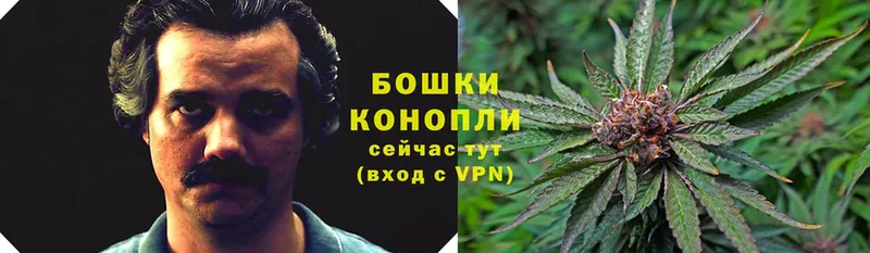 наркотики  Апатиты  omg маркетплейс  Бошки Шишки Bruce Banner 